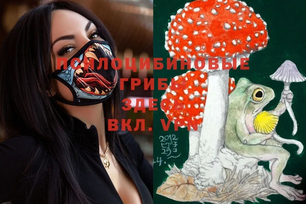 тгк Балахна